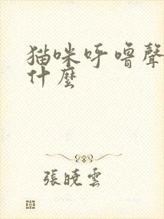 猫咪呼噜声代表什么