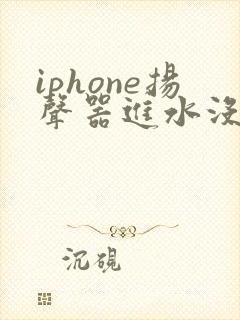 iphone扬声器进水没声音