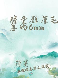 胆囊壁厚毛糙胆息肉6mm