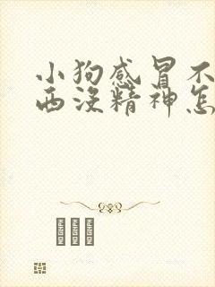 小狗感冒不吃东西没精神怎么办