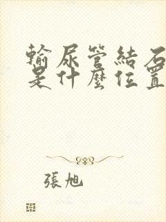 输尿管结石盆段是什么位置