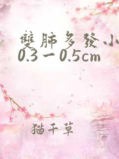 双肺多发小结节0.3一0.5cm