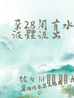 孕28周有水样液体流出