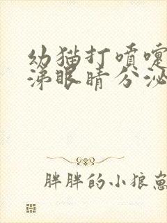 幼猫打喷嚏流鼻涕眼睛分泌物多