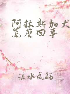 阿拉斯加犬尿血怎么回事