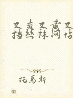 又爽又黄又无遮挡丝袜网站