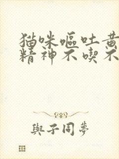 猫咪呕吐黄水没精神不吃不喝怎么办