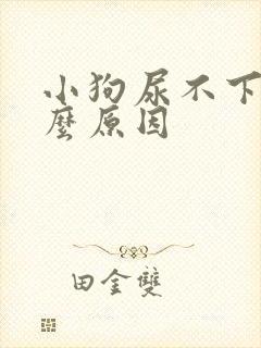 小狗尿不下来什么原因