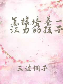 怎样培养一个专注力的孩子