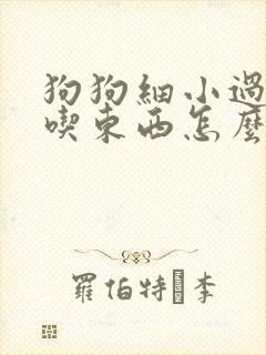 狗狗细小过后不吃东西怎么办