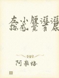 左小腹涨涨的,总感觉有尿意