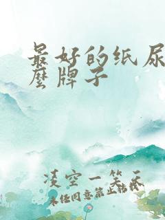 最好的纸尿裤什么牌子