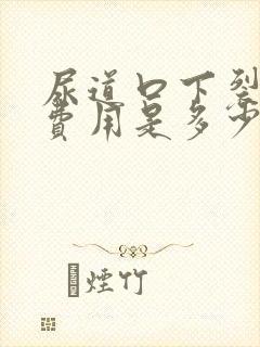 尿道口下裂手术费用是多少