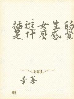 插进女生的阴道是什么感觉