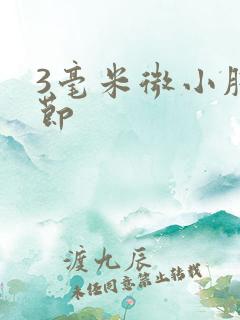 3毫米微小肺结节