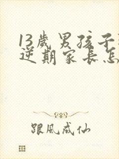 13岁男孩子叛逆期家长怎么做