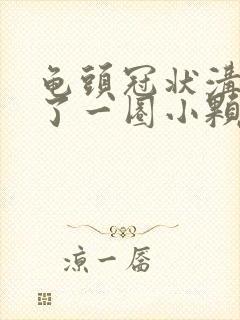 龟头冠状沟处长了一圈小颗粒