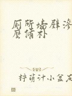 厕所墙壁渗水怎么修补