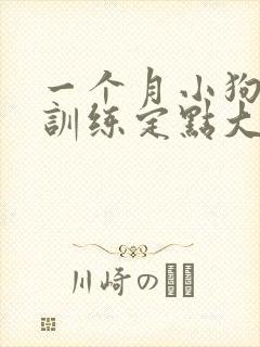 一个月小狗怎么训练定点大小便