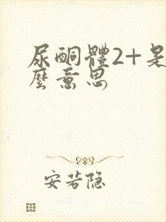 尿酮体2+是什么意思