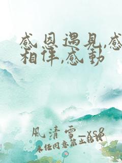 感恩遇见,感谢相伴,感动