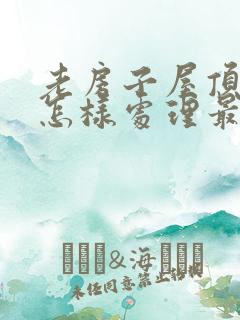 老房子屋顶漏水怎样处理最好