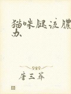 猫咪腿流脓怎么办