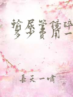 输尿管镜碎石术多少费用一次