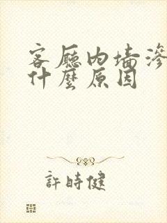 客厅内墙渗水是什么原因