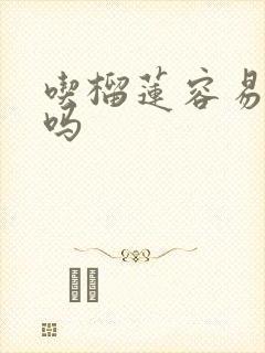 吃榴莲容易放屁吗