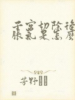 子宫切除后肚子胀气是怎么回事