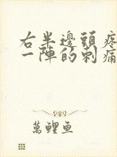 右半边头疼一阵一阵的刺痛