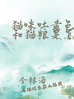 猫咪吐黄色液体和猫粮是怎么回事