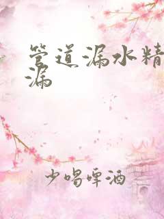 管道漏水精准测漏