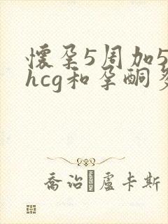 怀孕5周加5天hcg和孕酮多少正常