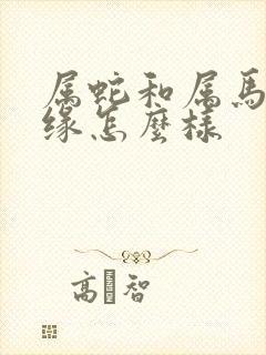 属蛇和属马的姻缘怎么样