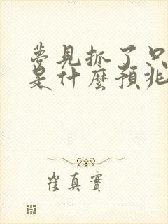 梦见抓了只兔子是什么预兆