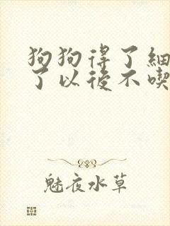 狗狗得了细小好了以后不吃东西怎么办