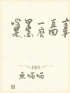 嘴里一直有苦味是怎么回事