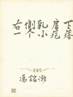右侧乳房下面有一个小疙瘩,摸着有点疼?