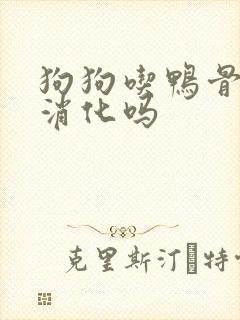 狗狗吃鸭骨头能消化吗