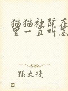 猫猫被关在笼子里一直叫怎么办