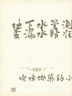 地下水管测漏水查漏水精准定位