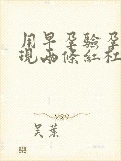 用早孕验孕棒出现两条红杠