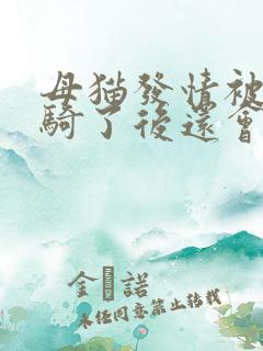 母猫发情被公猫骑了后还会发情吗