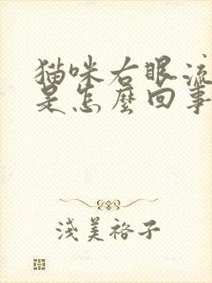 猫咪右眼流眼泪是怎么回事