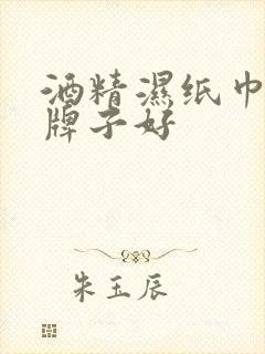 酒精湿纸巾哪个牌子好