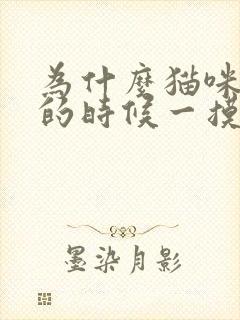 为什么猫咪踩奶的时候一摸它就叫