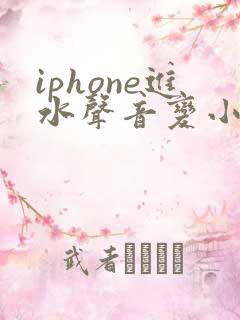 iphone进水声音变小怎么办