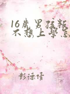 16岁男孩叛逆不想上学怎么办